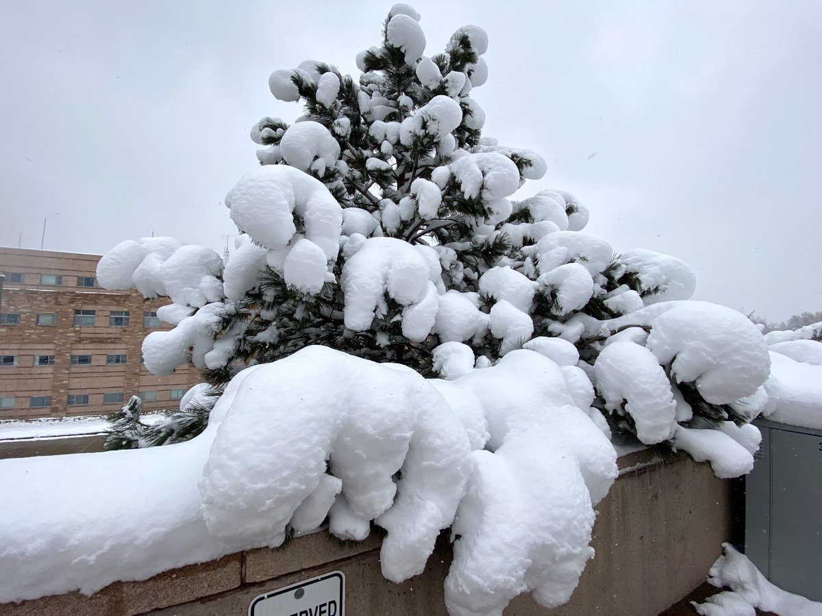 SNOW