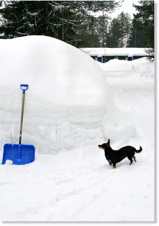 SNOW