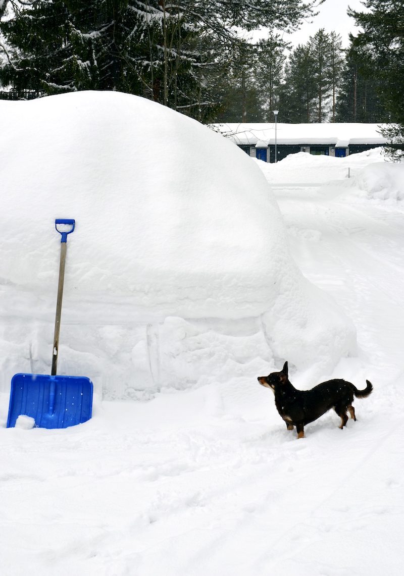 Click to enlarge SNOW