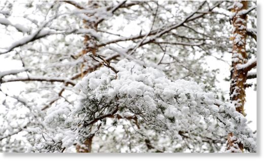 SNOW