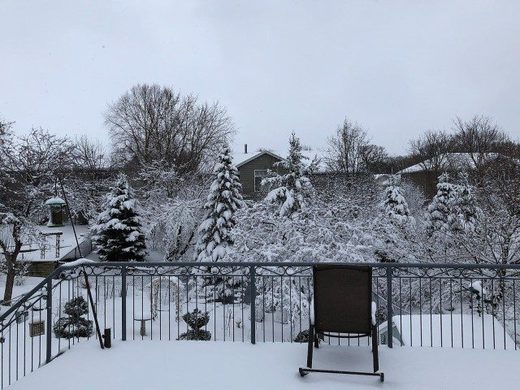 Rochester sees strong Eastern snowstorm