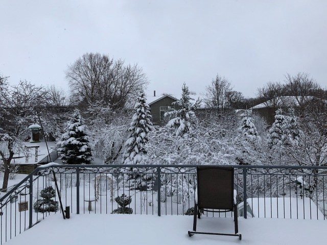 Click to enlarge Rochester sees strong Eastern snowstorm