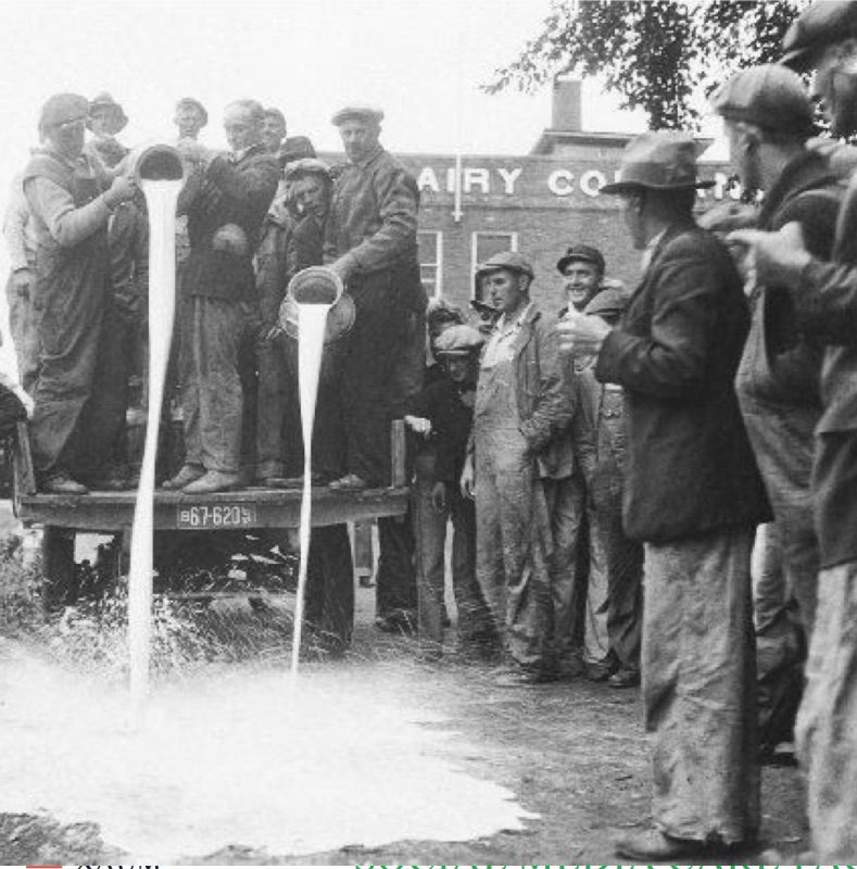 dairy farmers dump milk