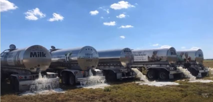 Click to enlarge Milk dumped 2020