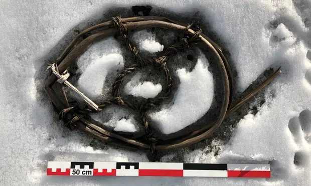 Click to enlarge snowshoe