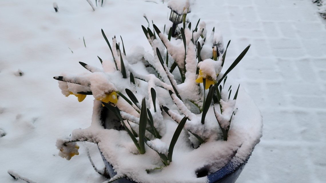 Click to enlarge snow