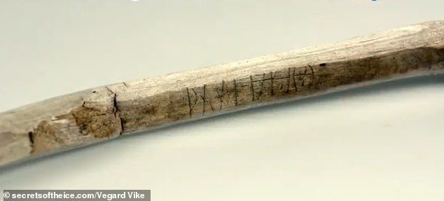 Click to enlarge viking walking stick