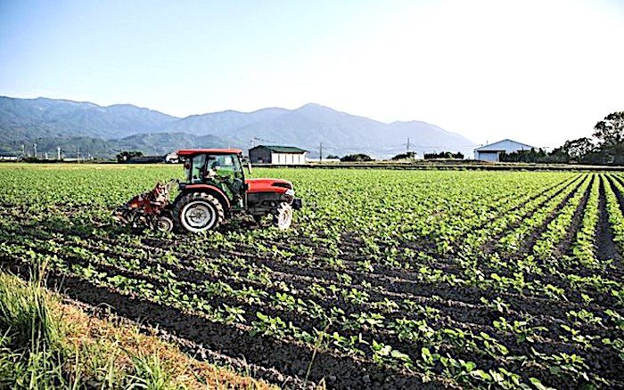 Click to enlarge farm