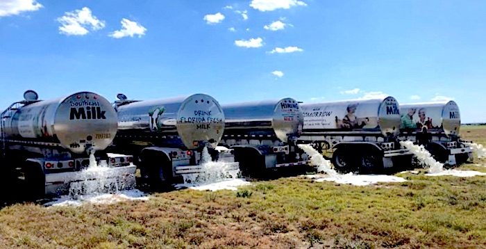 Click to enlarge dumpingmilk
