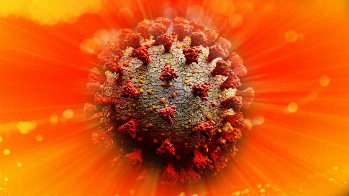 CoronaVirus