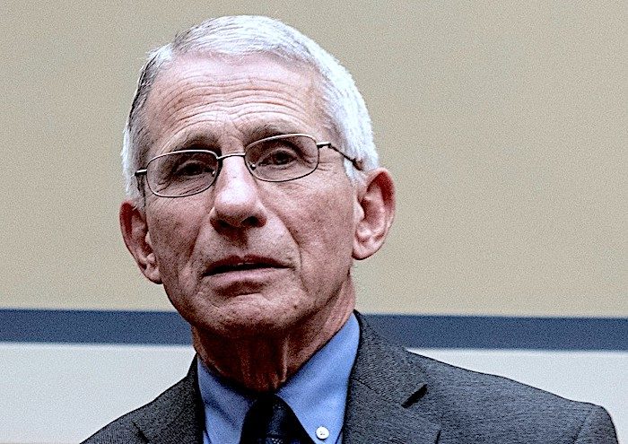 Click to enlarge Fauci