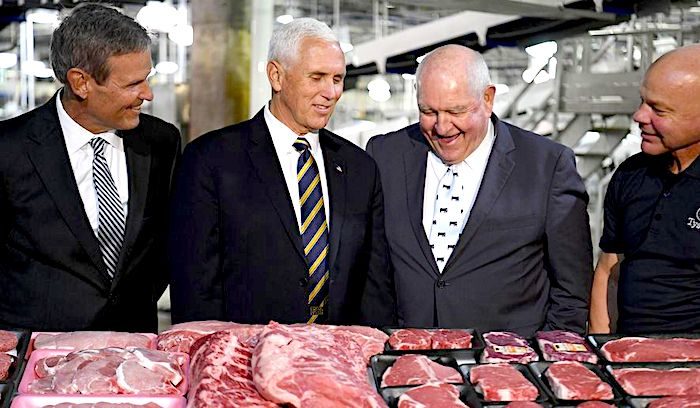 Click to enlarge Pence and guys