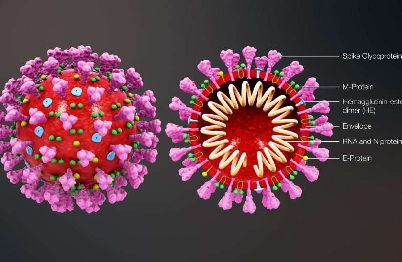 Click to enlarge coronavirus