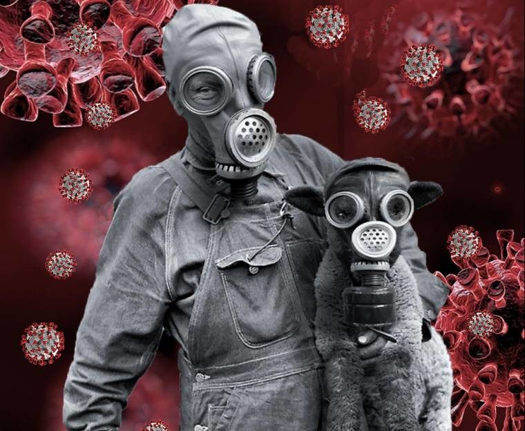 Click to enlarge coronavirus mask