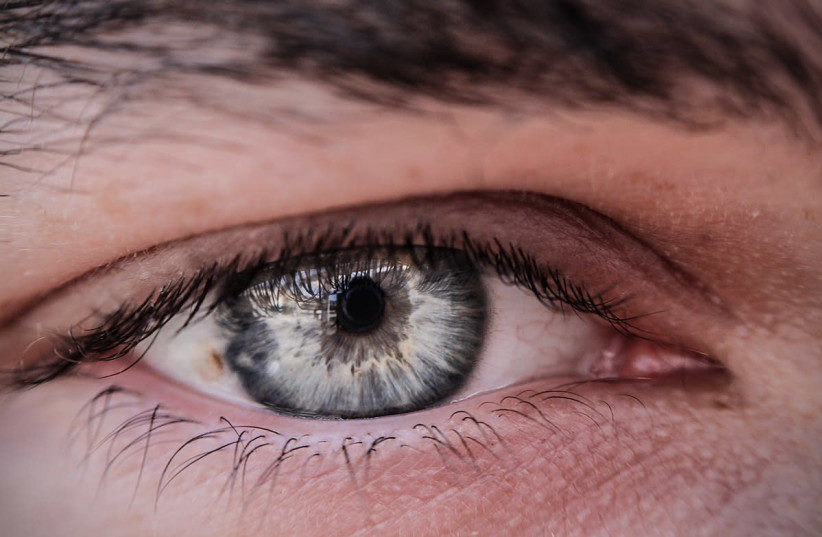 Human eye