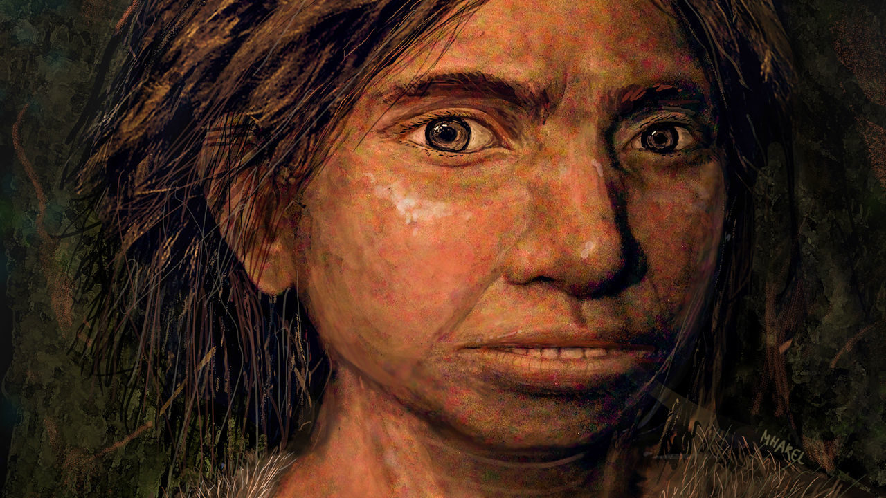 denisovan
