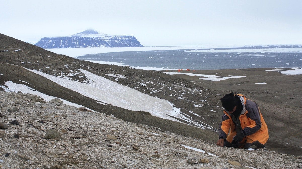 Palaeontologists at Seymour Island