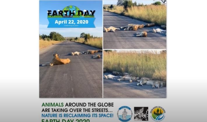 Earth Day 2020