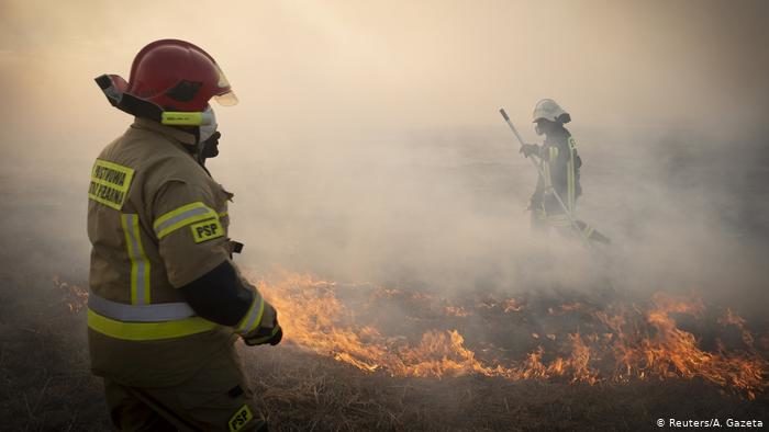 wildfire