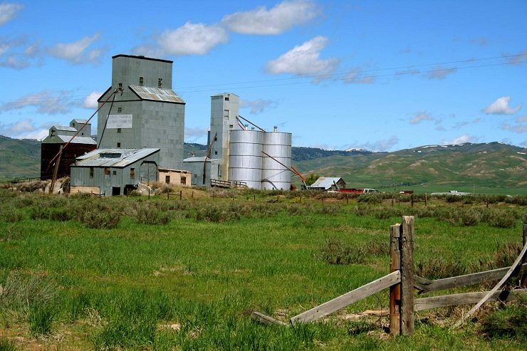 farm