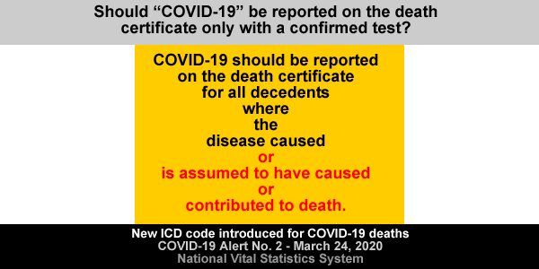 COVID 19  Reports