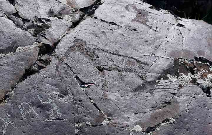rock art