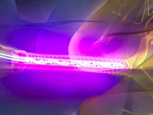 heallight