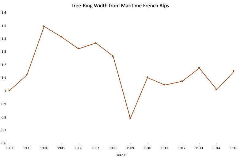 Living and dead larch specimens from the Maritime French Alps