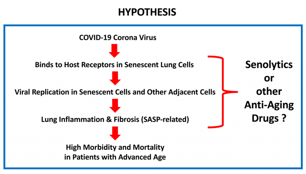 Click to enlarge cornavirus damage theory