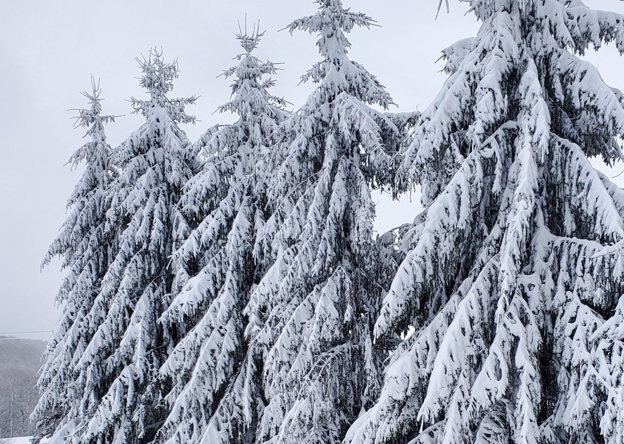 A spring snowstorm dropped 14 inches of wet snow on the Otsego County town of Cherry Valley, elevation 1,437 feet.