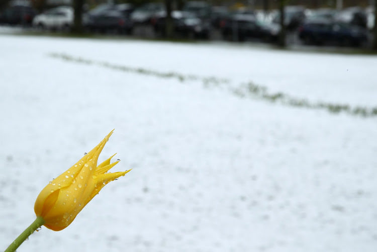 Snow has created a blanket of white in Lesotho, and snowfalls in the Drakensberg are expected this week.