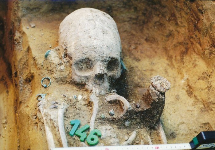Click to enlarge skeleton