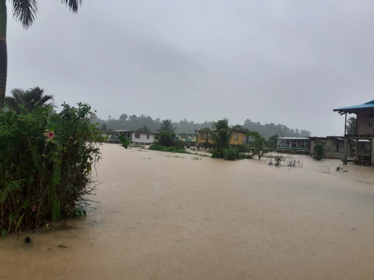 Floods in Central Division, Fiji, late April 2020.