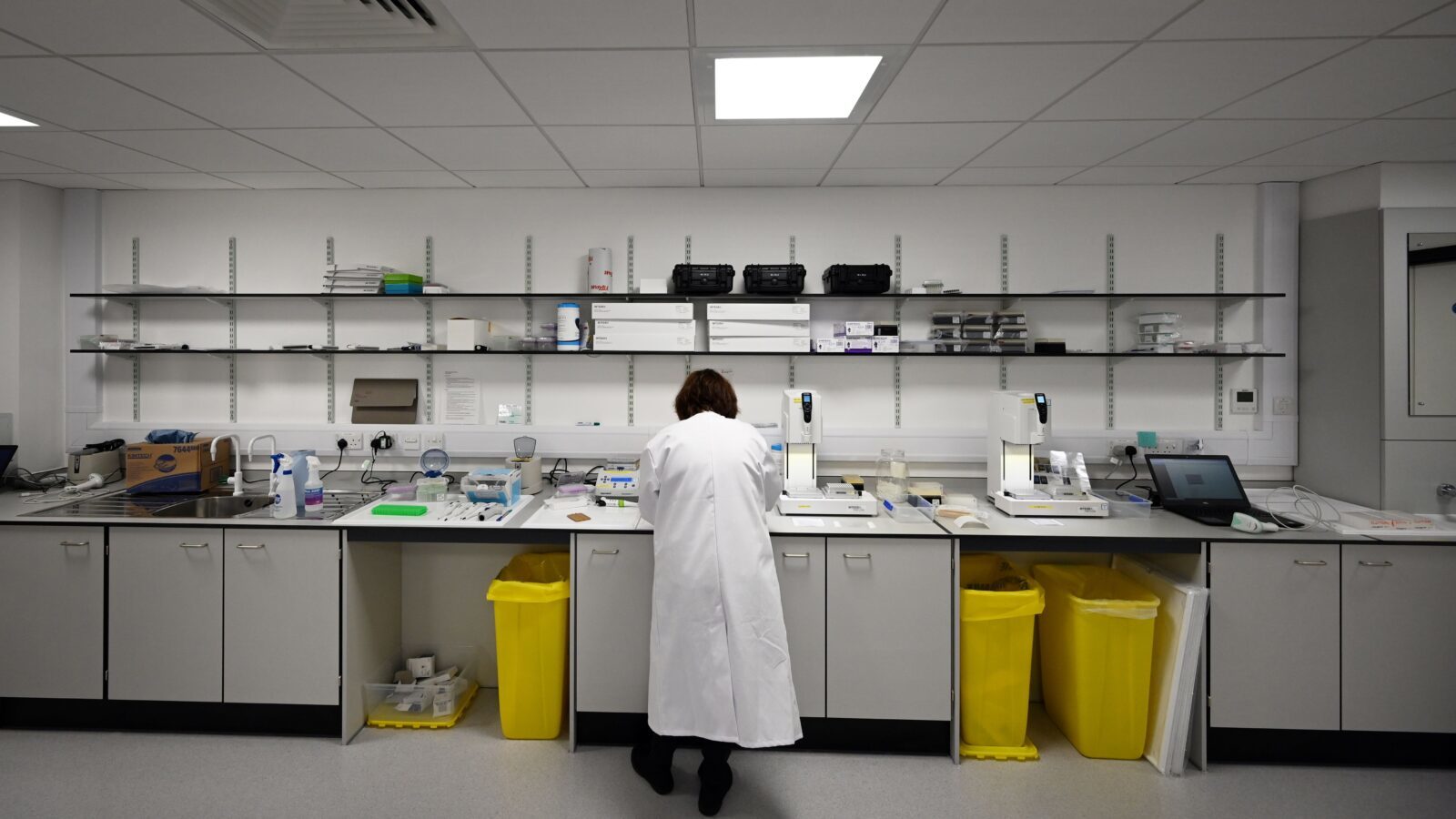 scientist in lab