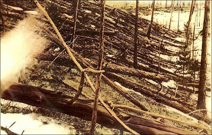 Click to enlarge Tunguska trees