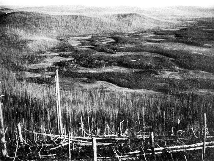 Click to enlarge Tunguska landscape