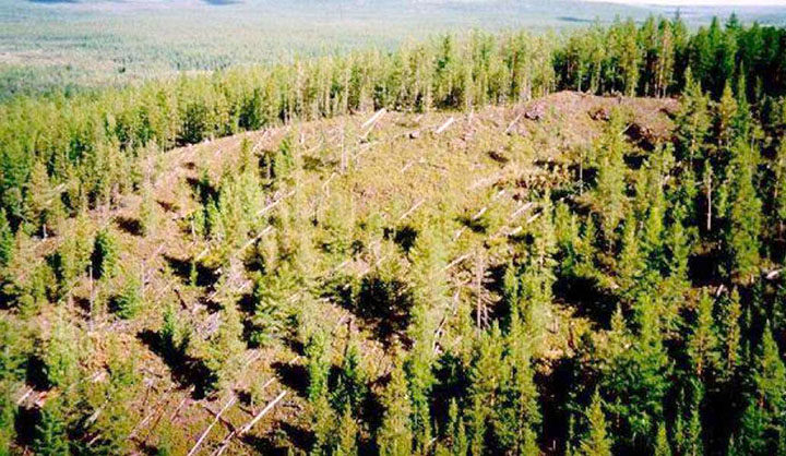 Click to enlarge tugunska site present day