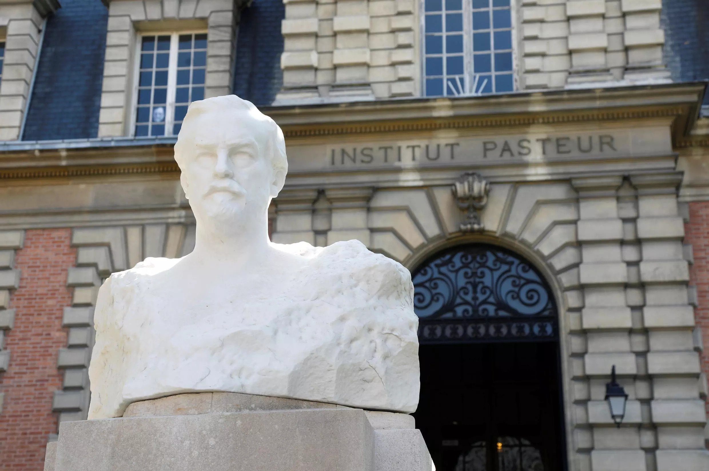 pasteur institute