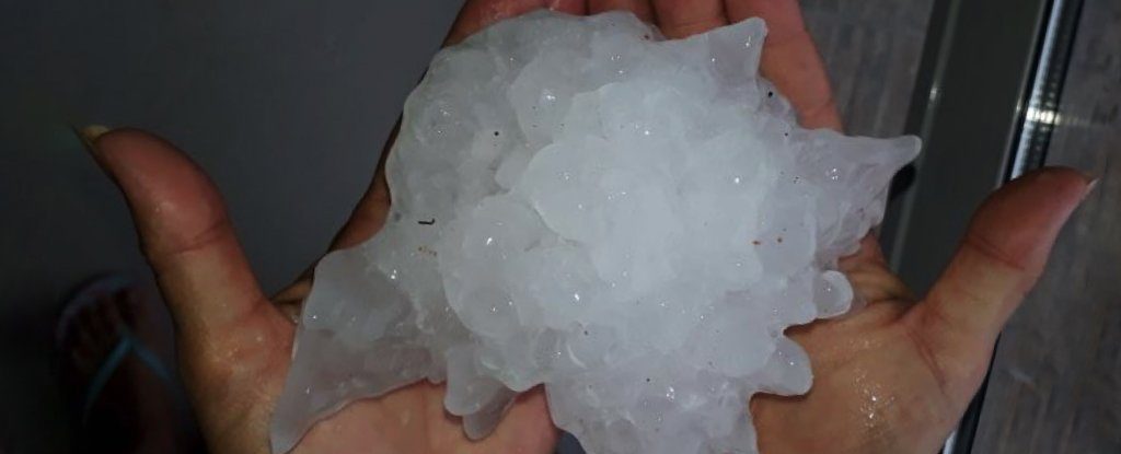 One of the hailstones from the storm in Argentina.