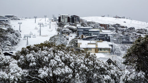 Mt Buller
