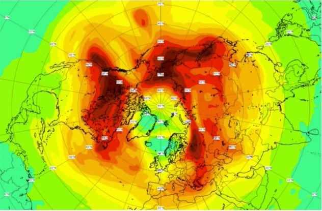 The total column ozone field