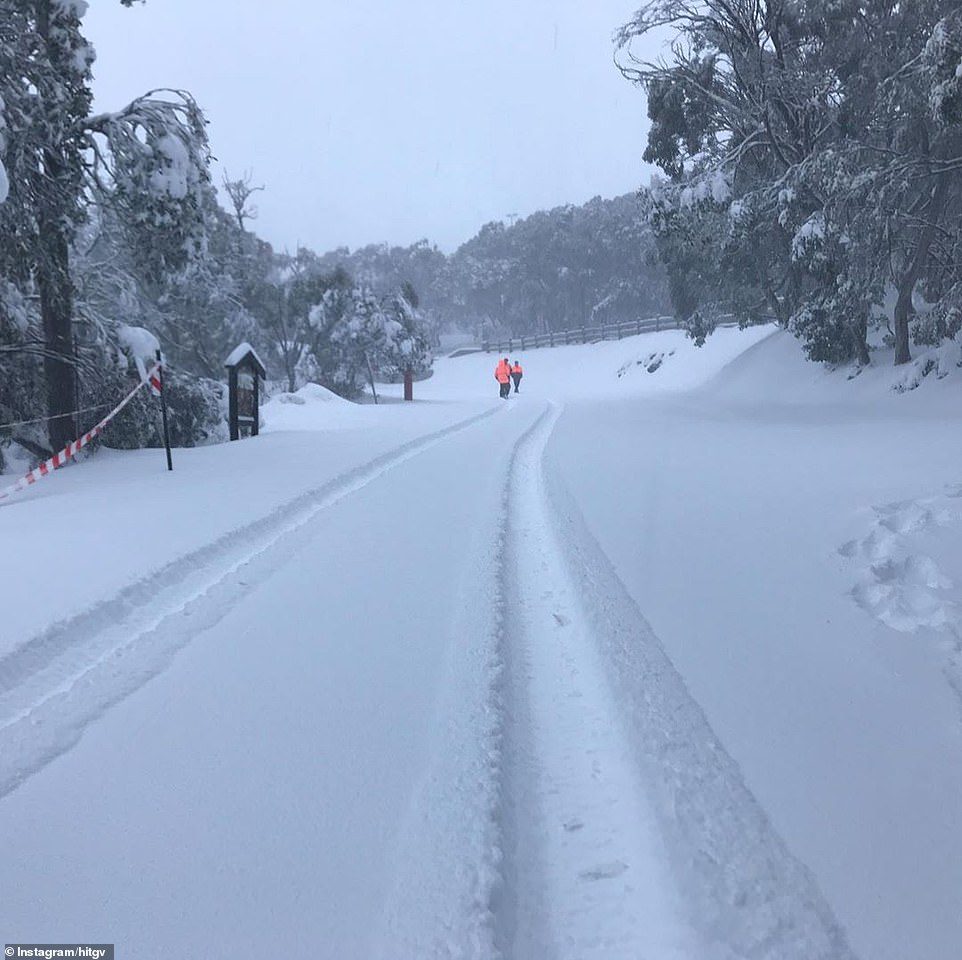 Park rangers in high-vis gear trek through Mount Buller during a blizzard. The cold front will move from the south east and reach as far as Northern Queensland and the Top End, although it will be much less intense once it travels that far
