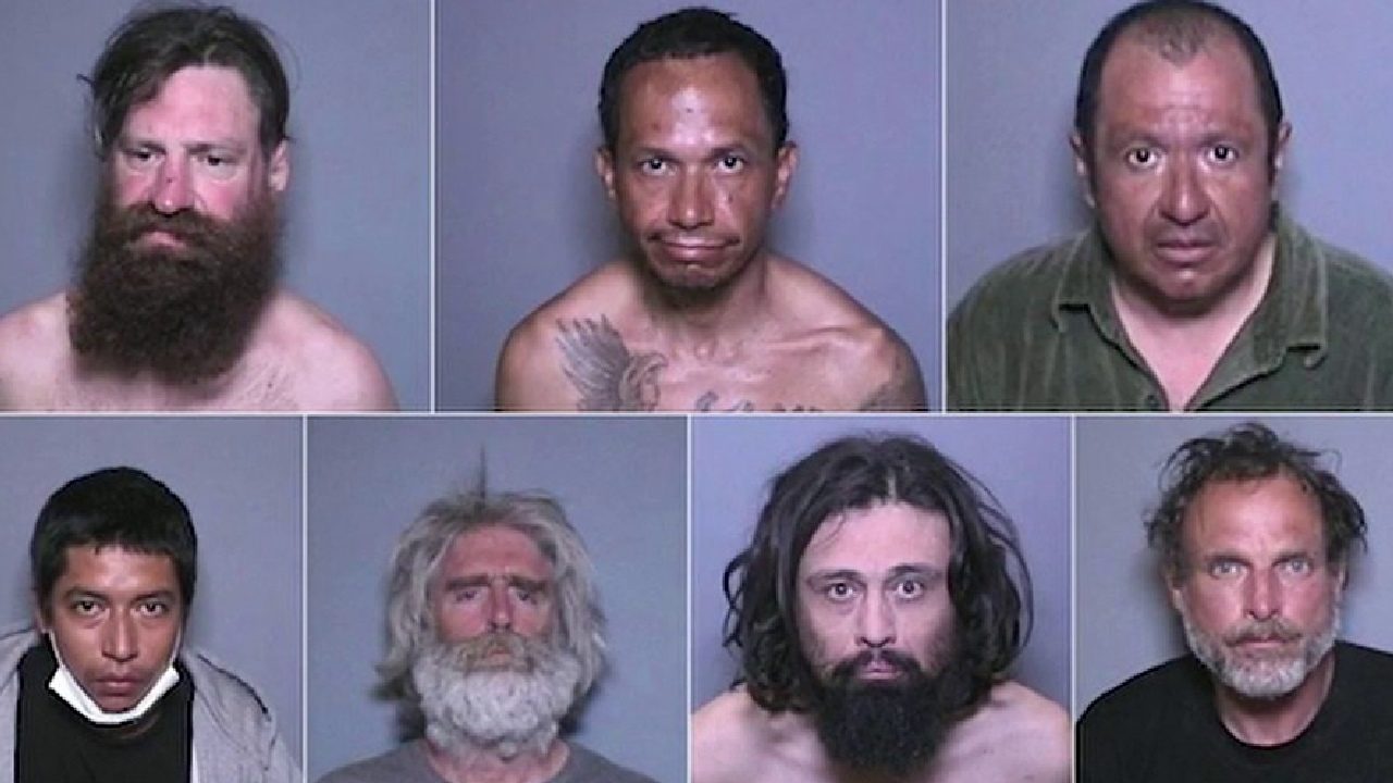 Click to enlarge California sex offenders