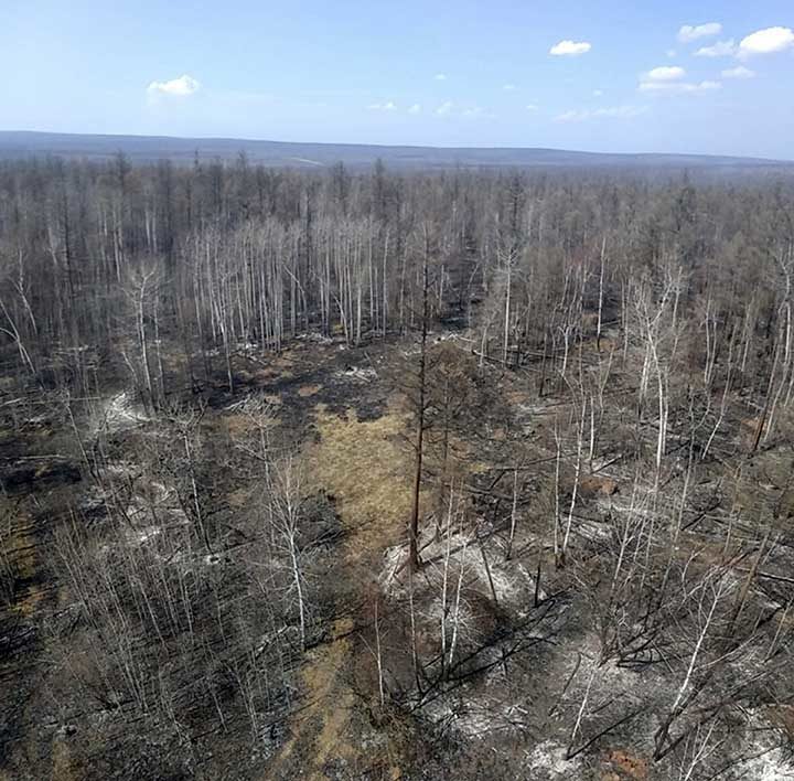 Click to enlarge Irkutsk wildfires