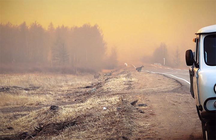 Click to enlarge wildfire Trans-Baikal