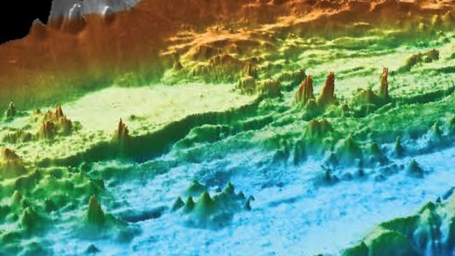 hydrothermal vent washington