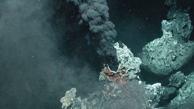 hydrothermal vent washington