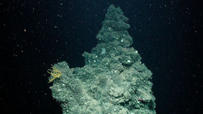 Click to enlarge hydrothermal vent washington