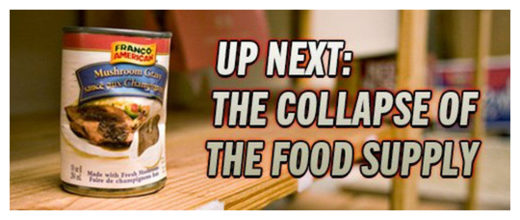 Click to enlarge Food Supply