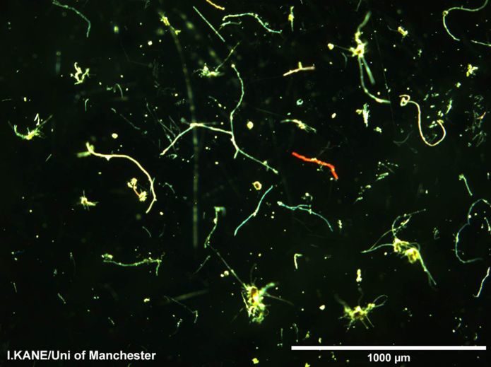 A lot of the fibres will come from clothing and other textiles